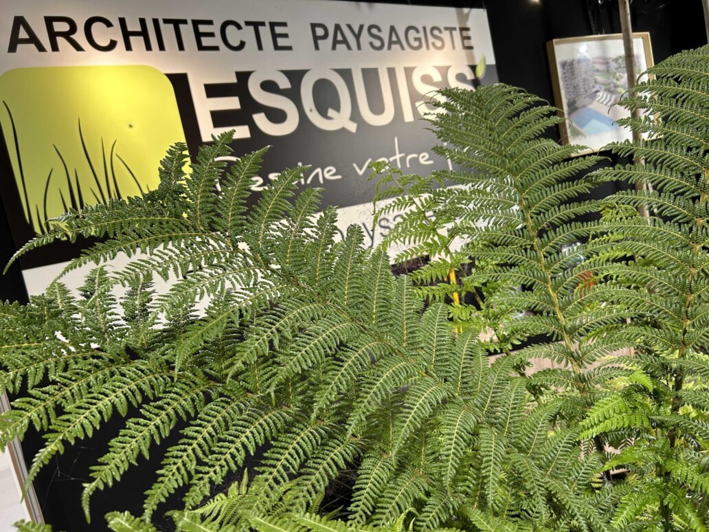 agence esquiss amenagements paysagers idees jardin